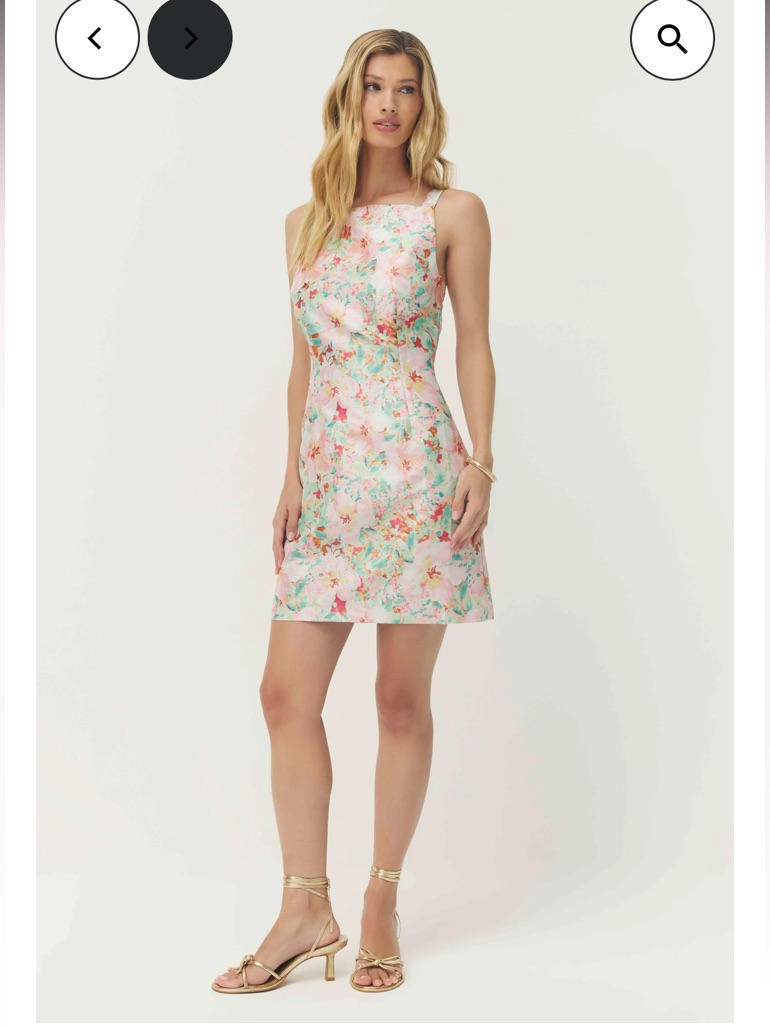 Hutch Arlie Pink & Green Floral A-Line Sleeveless Jacquard Mini Dress Small New